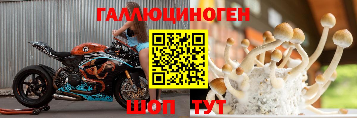 купить наркотики цена  Псилоцибиновые грибы GOLDEN TEACHER  Вход с VPN  Галлюциногенные грибы ЛСД  Мытищи 
